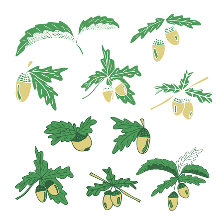 Acorn icon set.のイラスト素材