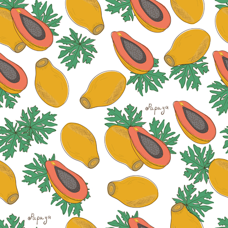 Papaya. Exotic fruit. Background, wallpaper, texture, seamless. Sketch. On a white background.のイラスト素材