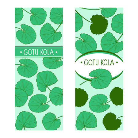 Gotu kola postcard Template setのイラスト素材