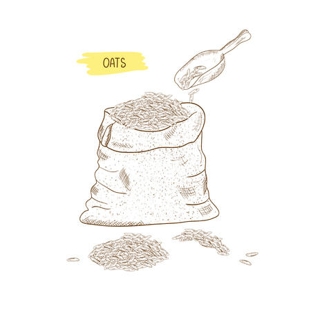 Oats. Bag, ladle. Sketch. Monochromeの写真素材