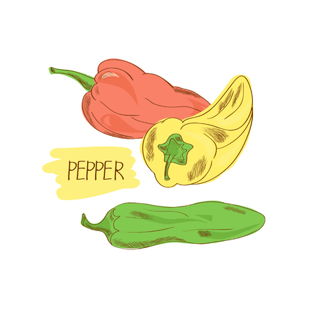 Pepper. Set. Red, green, yellow. Set.の写真素材