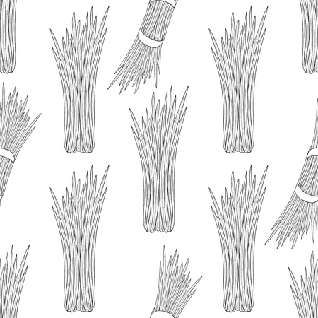 Vetiver. Plant. Leaves. Texture, background, wallpaper, seamless. Monochrome. Sketch.のイラスト素材