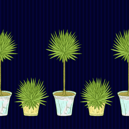 Yucca. Plant in the pot. On a dark blue background. Background, wallpaper, seamless. Sketch.のイラスト素材