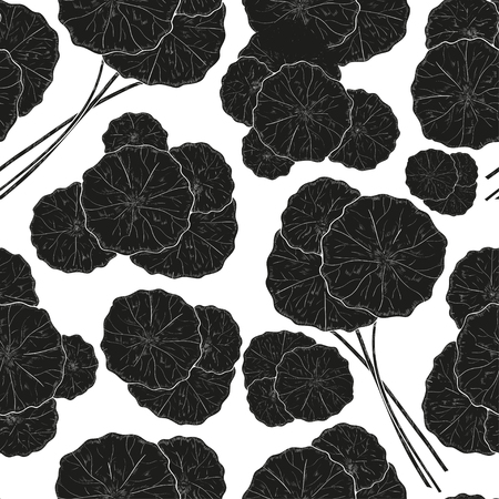 Gotu kola. Leaves, branches. Texture, wallpaper, seamless. Black silhouette on white background.のイラスト素材