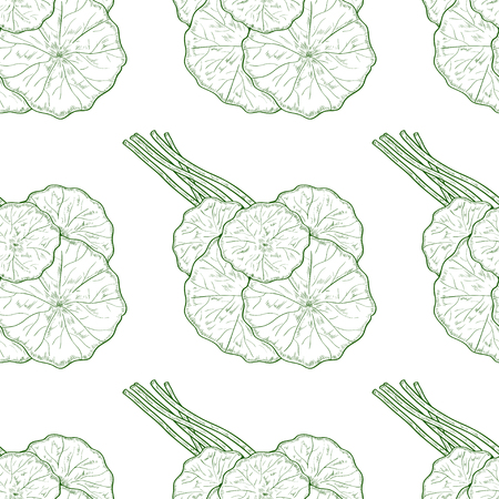 Gotu kola. Leaves, stem, bunch. Background, wallpaper, seamless. Sketch. Monochrome. Green.のイラスト素材