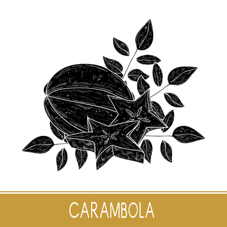 Carambola. Fruit, leaves. Black silhouette on white background.のイラスト素材