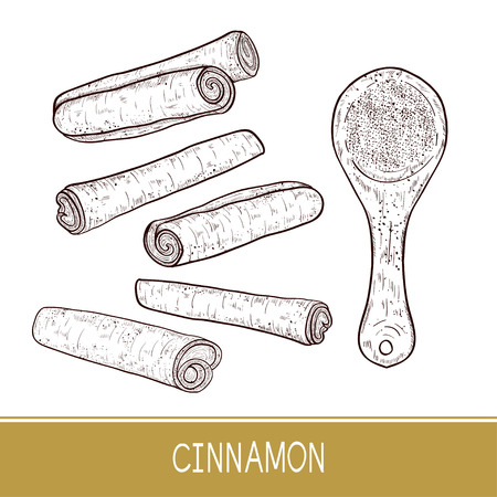Cinnamon. Scoop, powder. Sketch. Set. Monophonic.のイラスト素材
