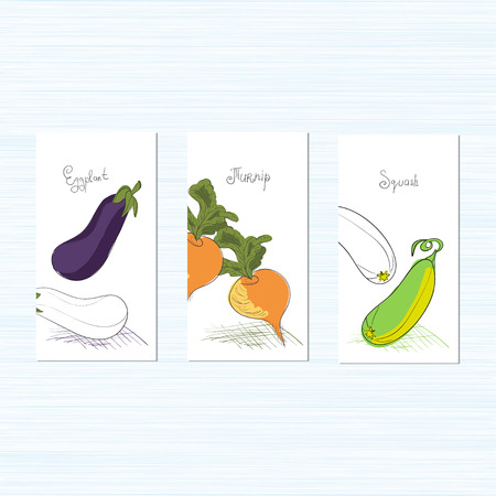 Template. Vegetables. It can be used for packing of seeds.Zucchini, eggplant, turnips. Sketch. Set.のイラスト素材