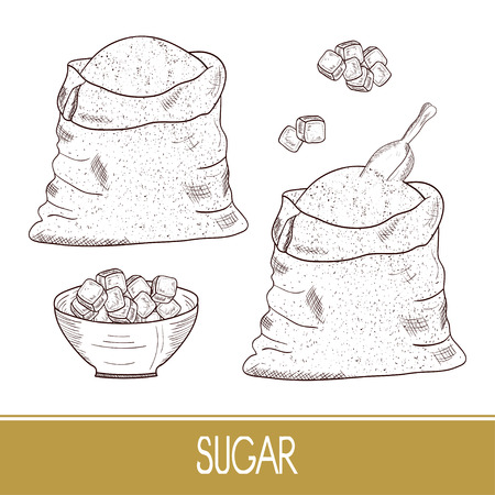 Sugar. Bag, scoop, bowl, cube. Set. Sketch. Monophonic.のイラスト素材