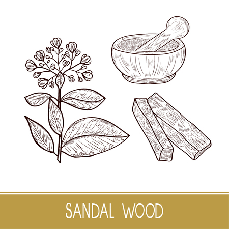 Sandalwood Royalty Free Stock Illustrations And Vectors Stocklib