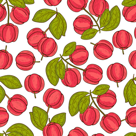 アセロラ のイラスト素材 イメージマート