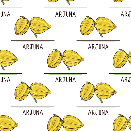 Arjuna. Fruit. Text. Seamless, texture, background, wallpaper. Sketch. Colorのイラスト素材