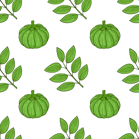 Garcinia. Fetus, leaves. Sketch. Template. Background, seamless, texture. Colorのイラスト素材