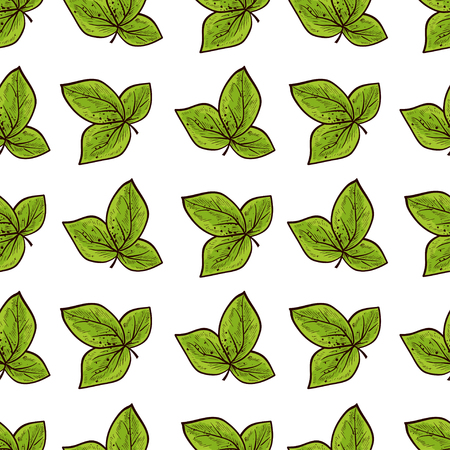Green leaves, branch. White background. Wallpaper, texture, seamless. Sketch. Template.のイラスト素材