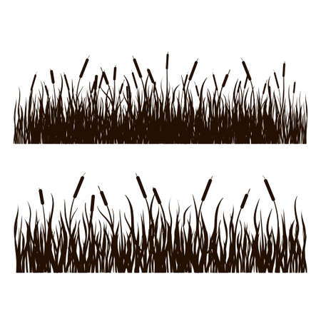 Sedge, reed, cane, bulrush. black silhouette. Set Vector drawing on a white backgroundのイラスト素材