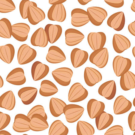 Buckwheat seeds. Color vector seamless pattern.のイラスト素材