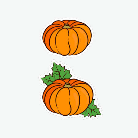 Pumpkin. Vegetable. Colored sticker. Vector illustration.のイラスト素材