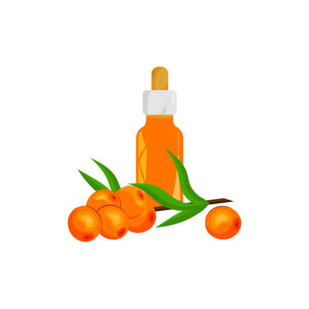 Sea buckthorn berries. Oil in a bottle, pipette. Vector illustration in cartoon style. white background.のイラスト素材