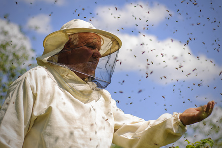 beekeeper and bee swarm, apiary beehive honey