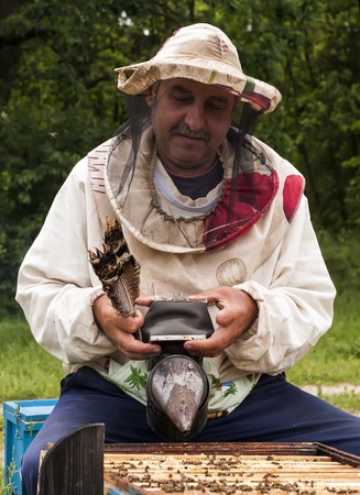 Beekeeper working in his apiary, smoker beehivesの写真素材