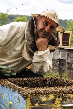 Beekeeper with the honey frame on the apiaryの写真素材