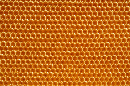 fresh honey in cells. Close up of honeycombの写真素材