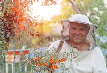 portrait of a beekeeper on apiary at hive with bees.の写真素材