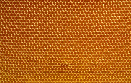 fresh honey in cells. Close up of honeycomb natural backgroundの写真素材