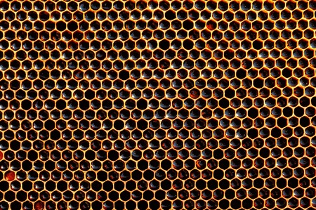 fresh honey in cells. dark honeycomb natural backgroundの写真素材