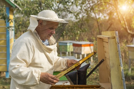 Beekeeper is working with bees and beehives on the apiary. Beekeeper on apiary.の写真素材