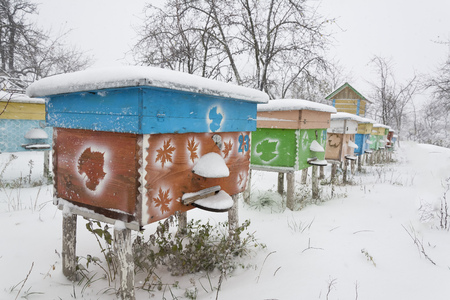 Beehives in apiary covered with snow in wintertimeの写真素材
