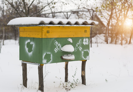 Beehive in apiary covered with snow in wintertime.の写真素材