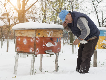 Beekeeper winter monitors the status of bees in the hive.の写真素材