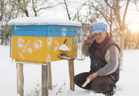 Beekeeper winter monitors the status of bees in the hive.の写真素材