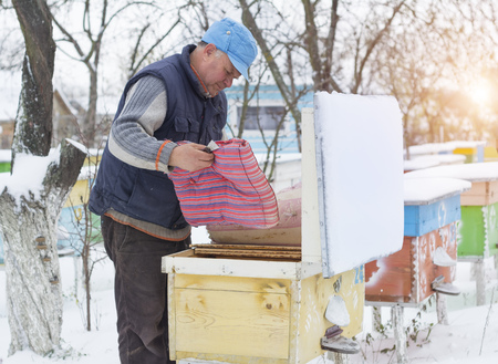 Beekeeper insulation hives with bees in winter.の写真素材