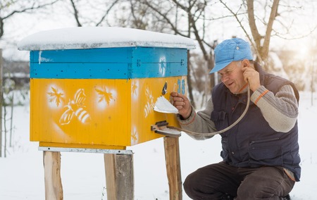 Beekeeper winter monitors the status of bees in the hive.