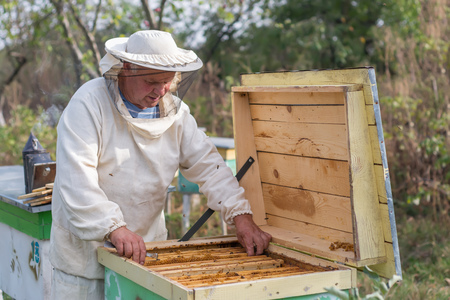 Beekeeper is working with bees and beehives on the apiary. Beekeeper on apiary.の写真素材