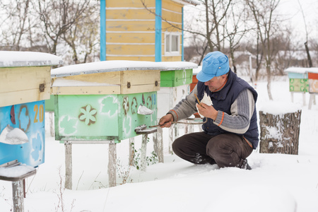 Beekeeper winter monitors the status of bees in the hive.