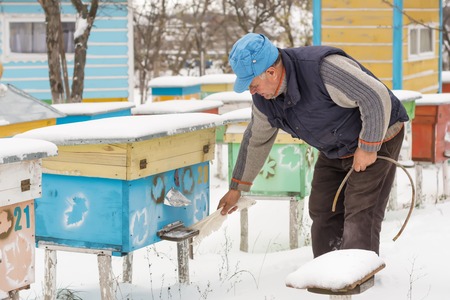 Beekeeper winter monitors the status of bees in the hive.の写真素材