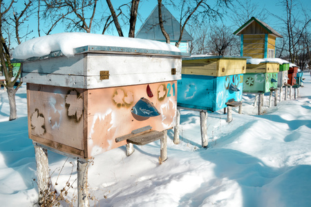 Beehives in apiary covered with snow in wintertime.の写真素材