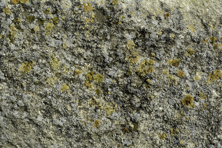 The detail texture of stone. Rock background.の写真素材