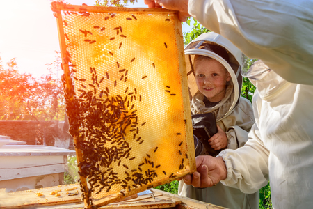 Experienced beekeeper grandfather teaches his grandson caring for bees. Apiculture. The transfer of experience.の写真素材