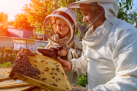 Experienced beekeeper grandfather teaches his grandson caring for bees. Apiculture. The transfer of experience.の写真素材