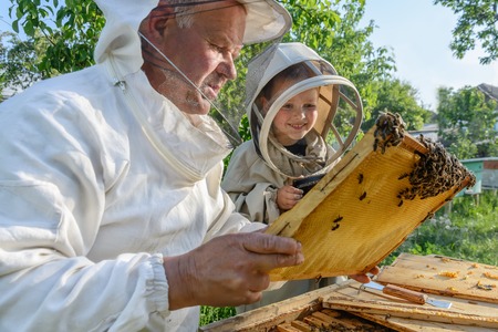 Experienced beekeeper grandfather teaches his grandson caring for bees. Apiculture. The concept of transfer of experienceの写真素材