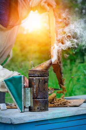 Old bee smoker. Beekeeping tool. Theme of beekeepingの写真素材