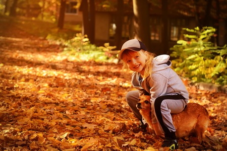 A little pretty girl playing with a dog in the autumn park.の写真素材