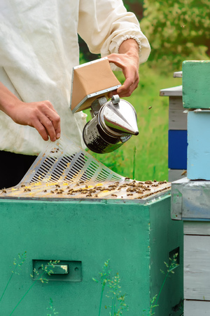 Beekeeper in protective workwear inspecting honeycomb frame at apiary. Beekeeping conceptの写真素材