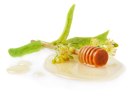 Honey dipper with honey with flowers of linden on white backgroundの写真素材