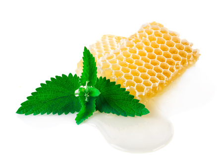 Honey with mint on a white background.の写真素材
