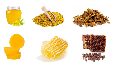 Set of beekeeping products on a white background. Honey, pollen, propolis, bee bread, beeswax. Healthy foods.の写真素材